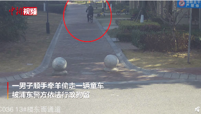 车花|男子偷190元车花188元寄回家被拘 哥你这脑回路实在是清奇