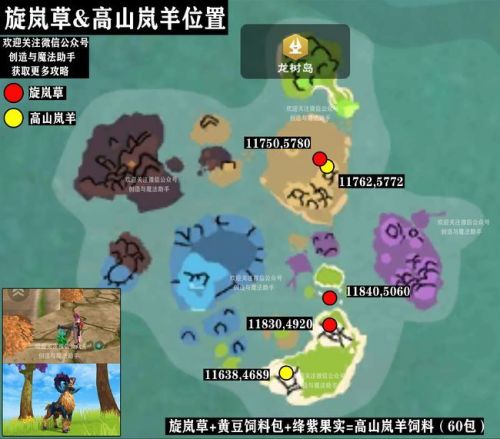 创造与魔法旋岚草位置 创造与魔法夕阳花/苍穹幻龙怎么制作