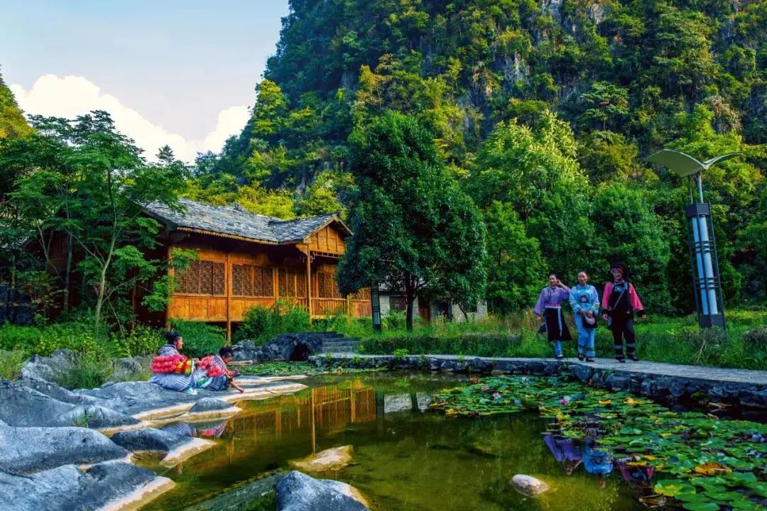 安順旅遊│花開別樣紅走進中國最美休閒鄉村龍宮桃子村