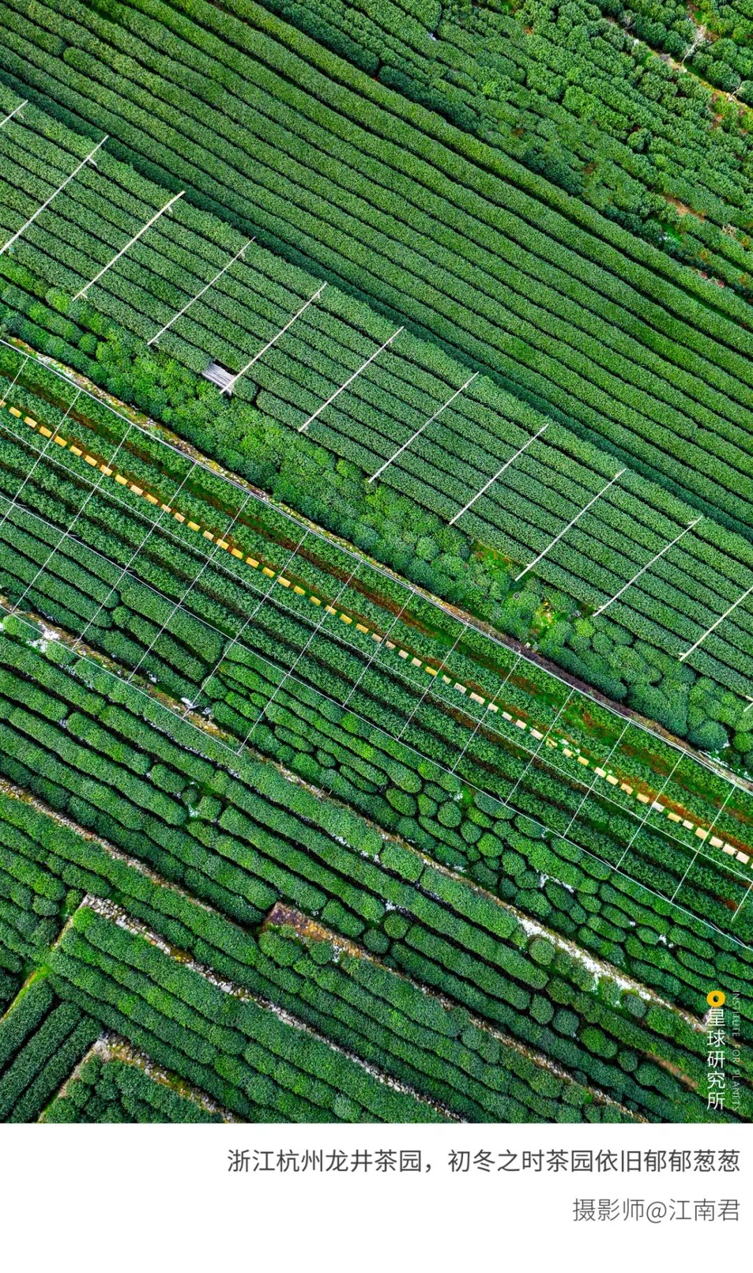 6種色彩，30張圖片，領略冬季之美