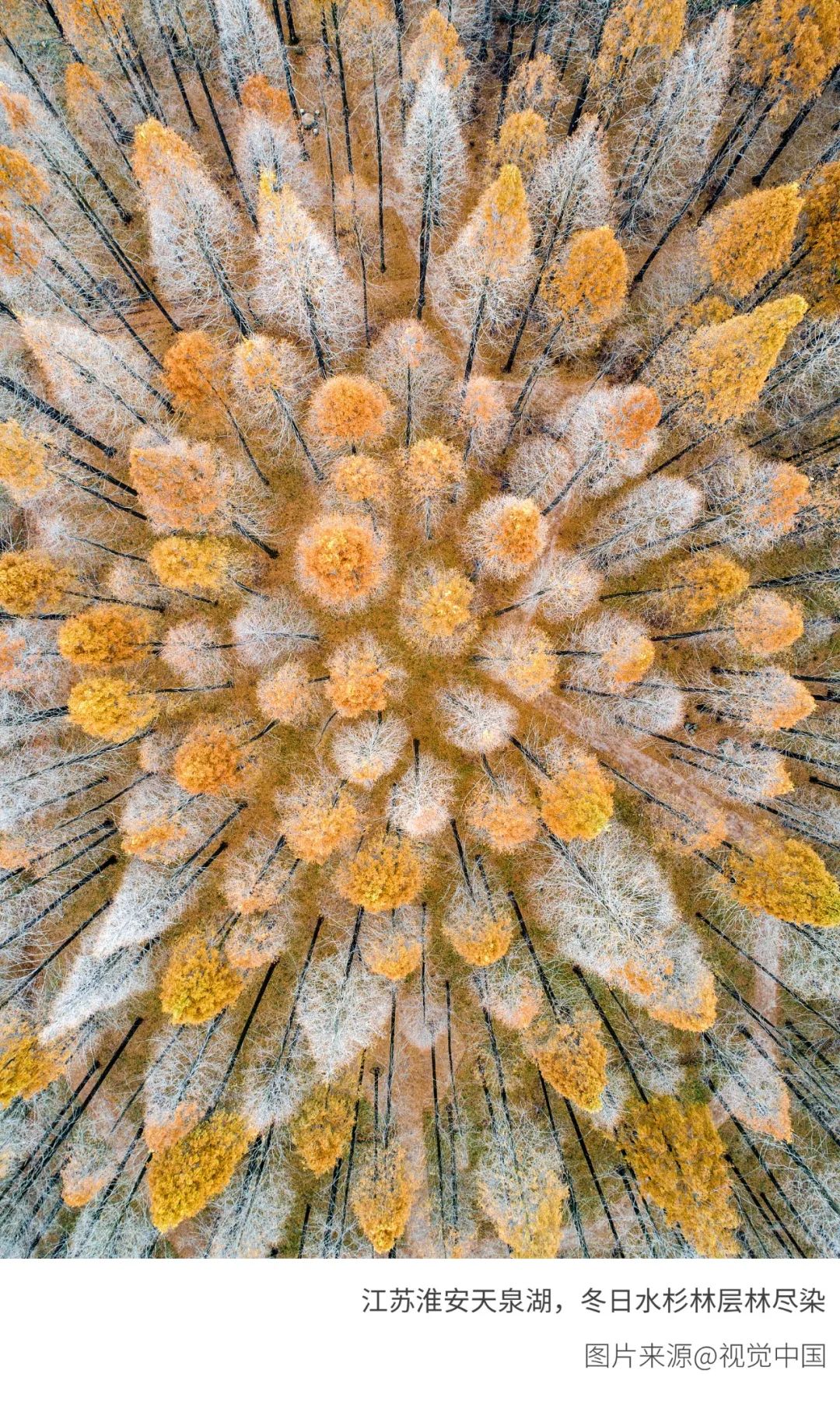 6種色彩，30張圖片，領略冬季之美