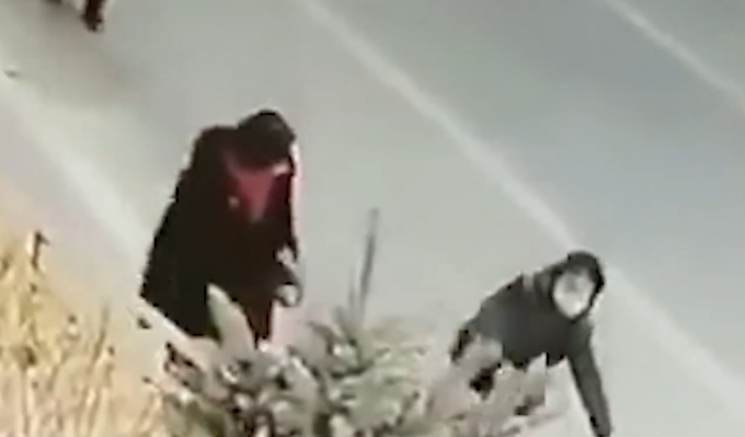 撞倒|路边故意撞倒老人女子被警方控制 太缺德!