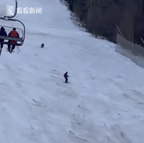熊追|游客滑雪场被熊追这真是用生命在滑雪