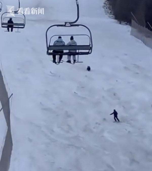 熊追|游客滑雪场被熊追这真是用生命在滑雪