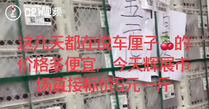 五元|上海车厘子现五元一斤骨折价 这是从云端跌入泥坑了吗