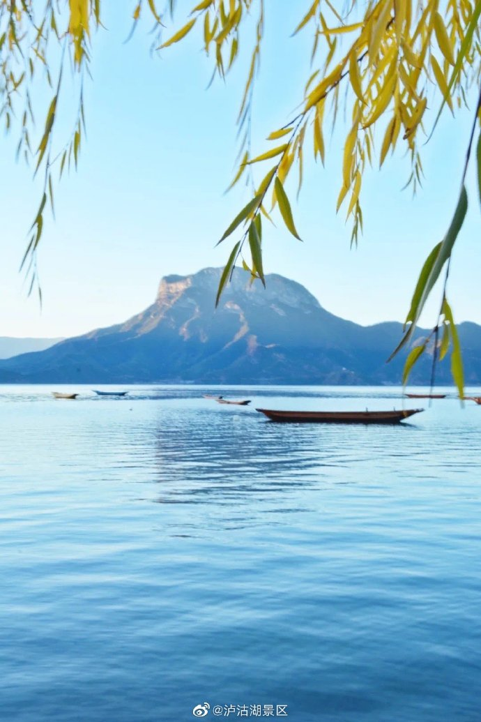 景区|四川泸沽湖景区恢复对外开放 游客进入泸沽湖景区严格实行“四川天府健康通”扫码通行