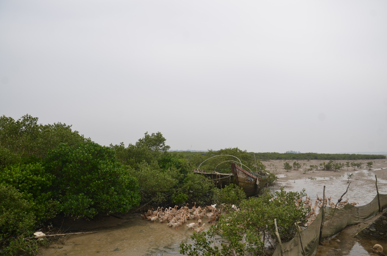 犀牛脚镇唯一的研究生回乡创业卖海鸭蛋：我在淘宝找到了回乡之路
