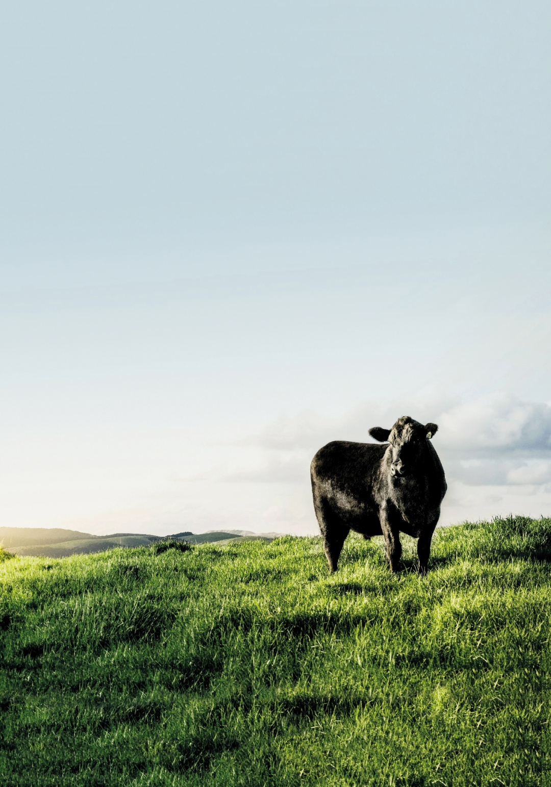 Too arrogant year, do one desk ox to enrage towering arrange