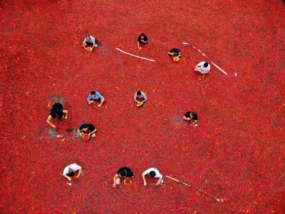 中國的“辣椒中心”在哪裏？