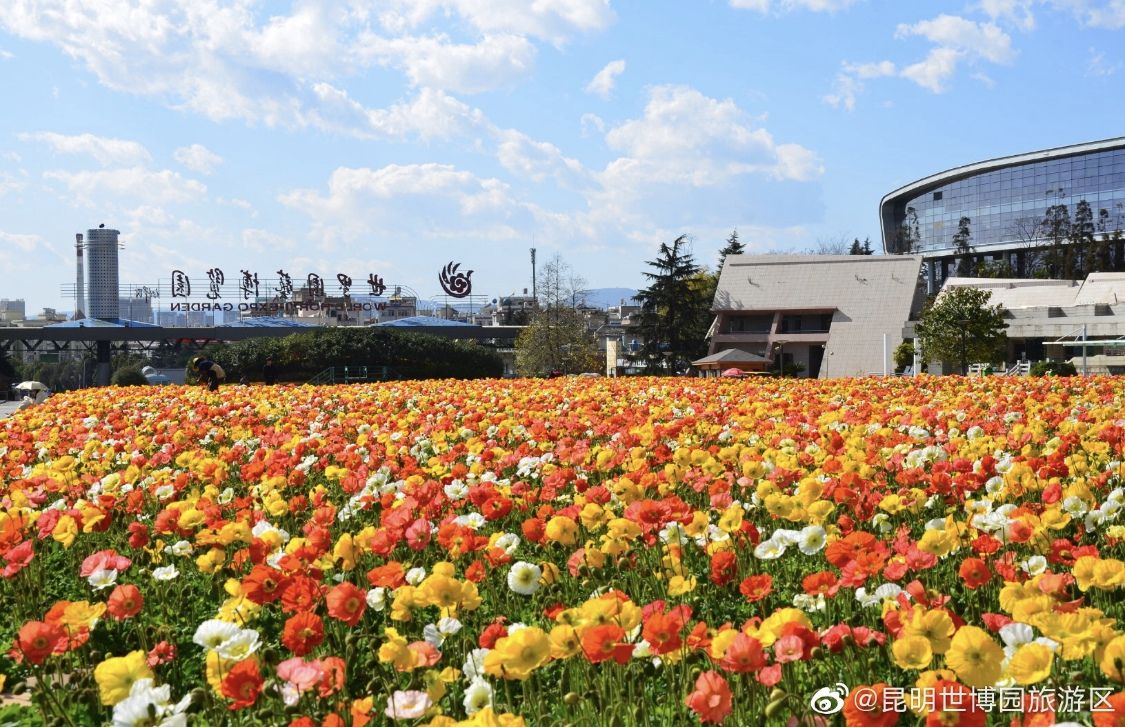 盘点13家旅游景区上市公司，谁最能赚钱？