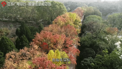 600年了，南京明城墙上一亿多块砖，为何依旧坚固？