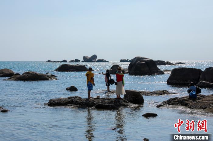 开房率|除夕三亚酒店开房率57.20% 10万一晚别墅属按需定价