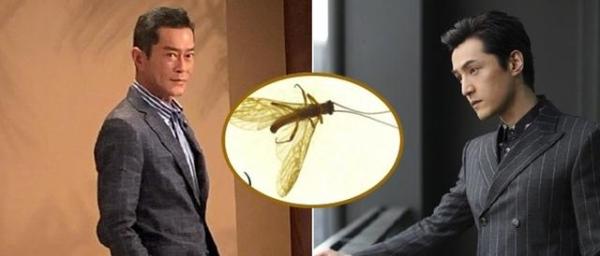 林业调查规划期刊数据库三甲医院中的三甲指的是什么