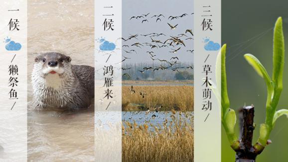 登录查看大图