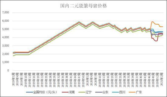 生猪消费旺季近尾声 挺价难度渐加大