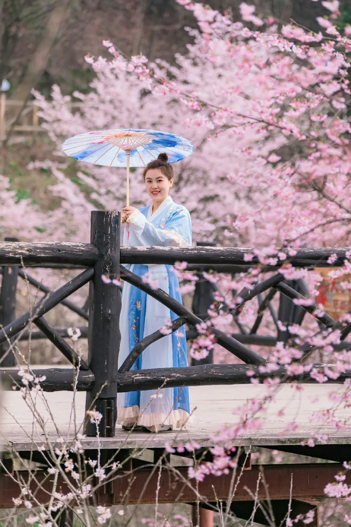 万亩樱花海“织”成粉色天空！当樱花撞上梅花，桐庐天子地“热闹非凡”