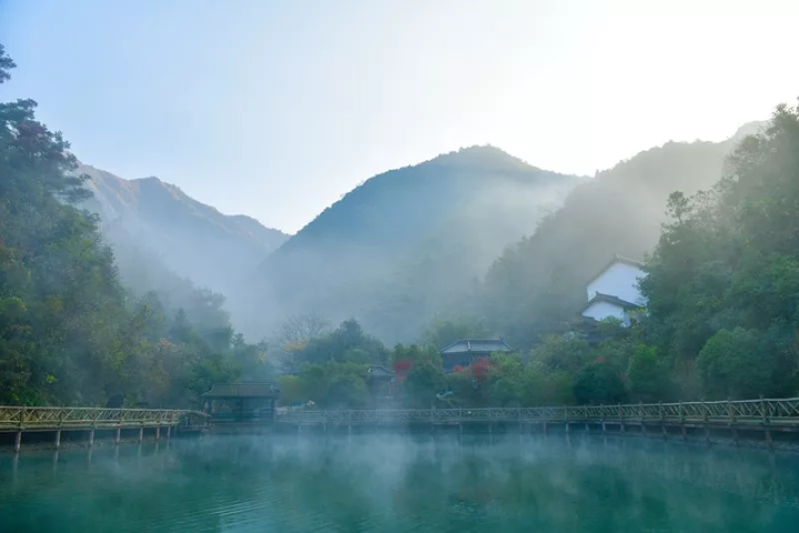 万亩樱花海“织”成粉色天空！当樱花撞上梅花，桐庐天子地“热闹非凡”