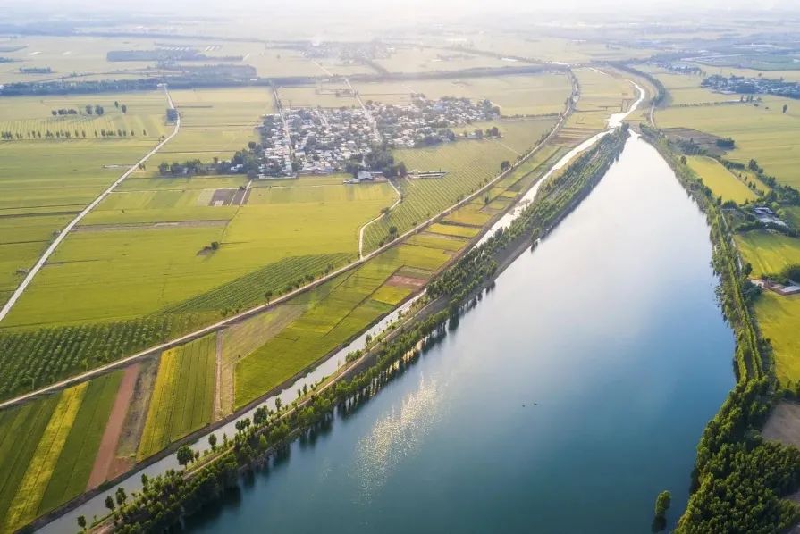 “美食荒漠”？這個鍋，我不背