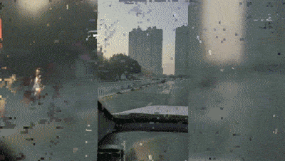 不注意|鸵鸟趁主人不注意逃上街头狂奔 鸵鸟表示我论跑我没输过