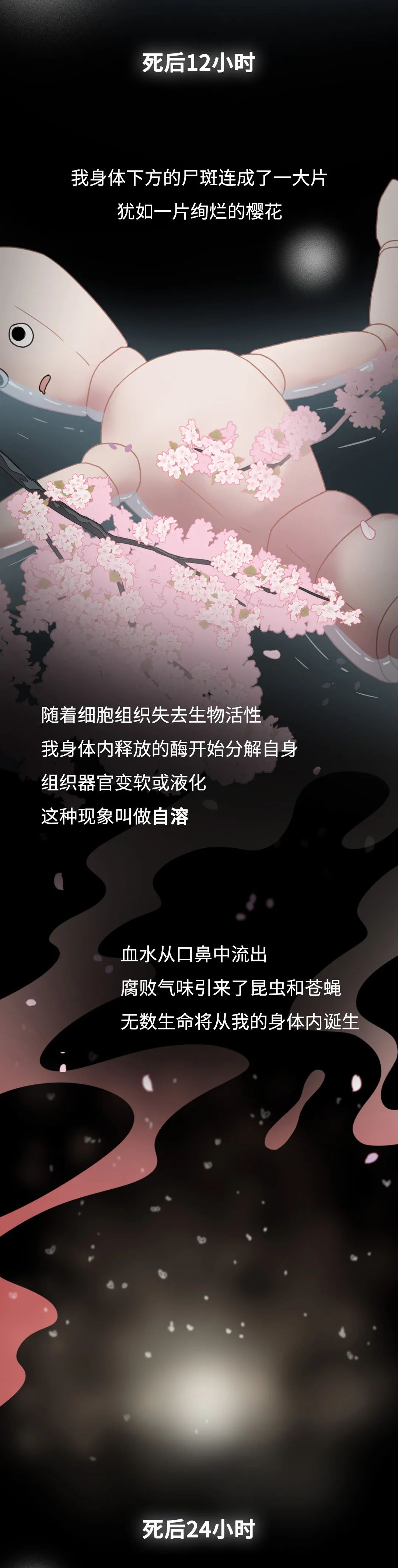 đС룡24Сrwl(f)@Щ׃…