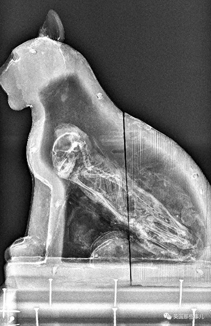 石棺里藏猫猫，画下还有另一副画…X光下的各种物体原来这么奇妙