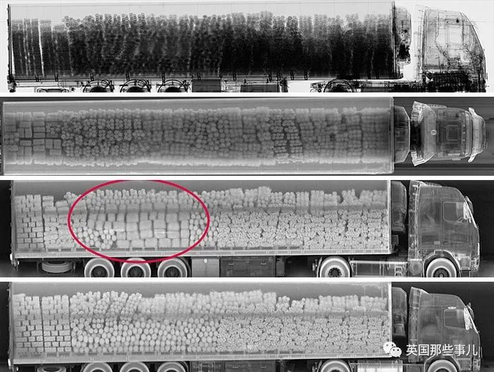 石棺裏藏貓貓，畫下還有另一副畫…X光下的各種物體原來這麽奇妙
