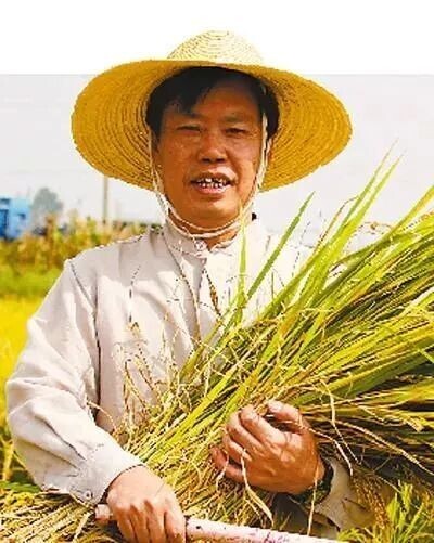 Academician direct seeding takes goods 1 hour to sell 25 tons of potato, netizen comment shined