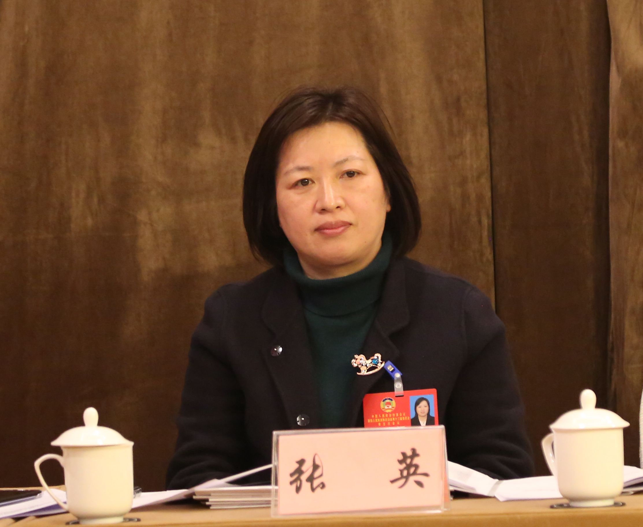两会声音 张英：加强中医人才培养和引进 促进中医药事业发展