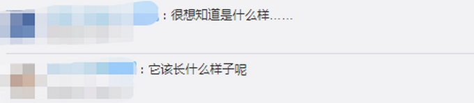 2.5亿|中国发现2.5亿年前九峰吐鲁番兽 体型大小相当于现在河马