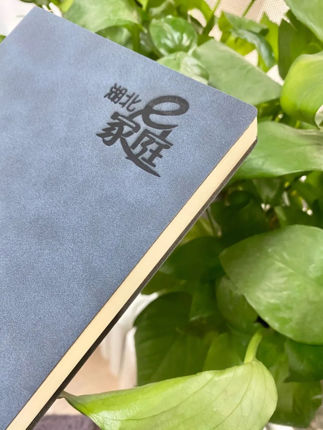 培养聪明的孩子，家长要从小陪他做好3件事