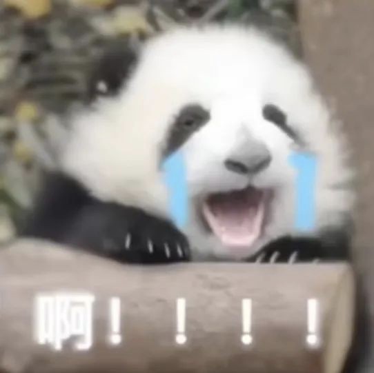 警告！明早气温暴跌12℃！又一股冷空气即将登场