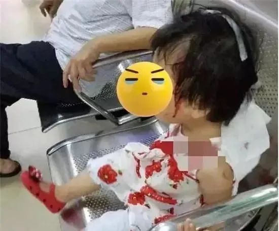 全国首例！判了！以后看谁还敢扔