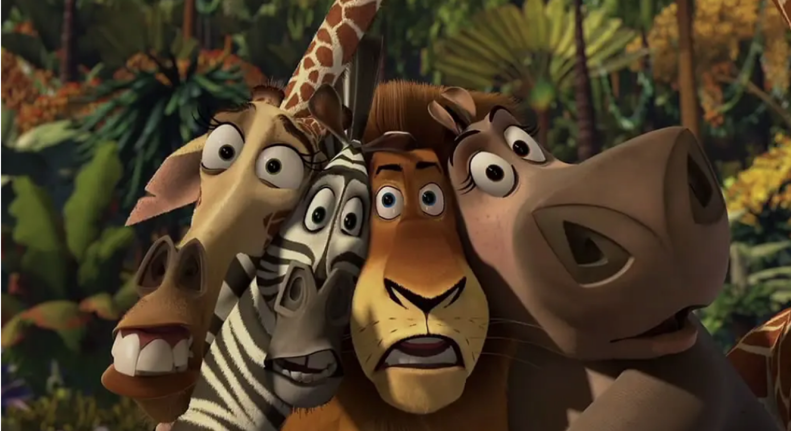 No matter animal, plant still is the mankind, the destiny Piao world that has be closely bound up is tough vivid plant day