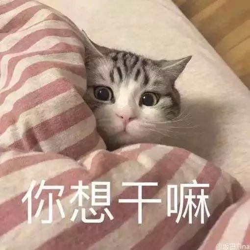 回南天来了！强降雨+强对流携手上线，大范围暴雨将至......