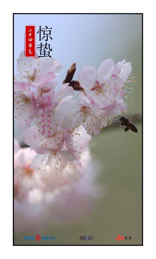 标题|惊蛰节到闻雷声 惊蛰节到闻雷声