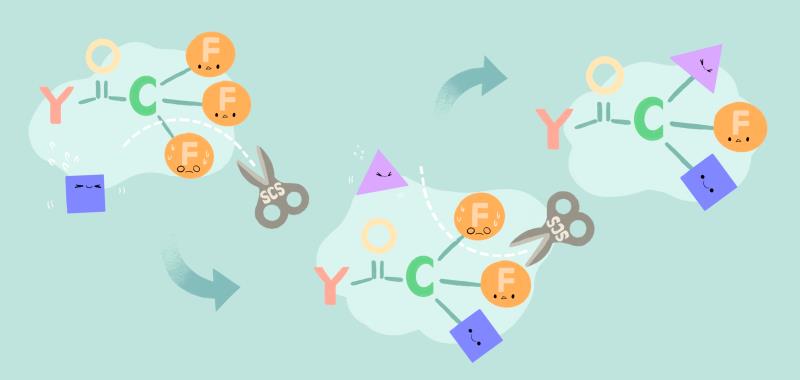 ����ѧ�����й���ѧ�ҿ������Ʊ�˫�����������ȫ�ºϳɷ���