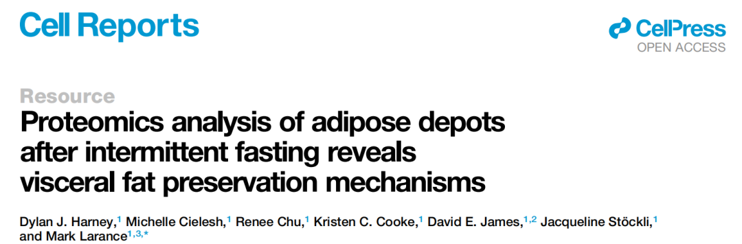 为什么会越减越肥？研究发现，可能是你的腹部脂肪在“抵抗”