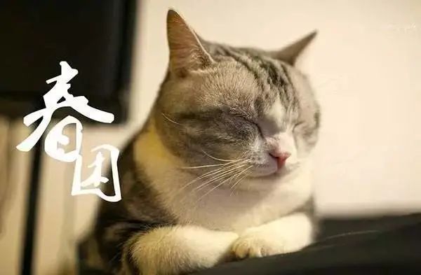 @诸暨人，“春困”怎么办？这四招教你远离它！