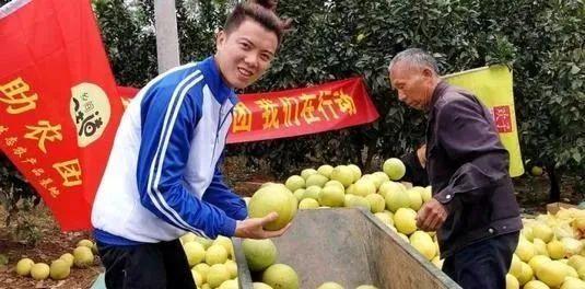 三农自媒体如今还有机会吗？