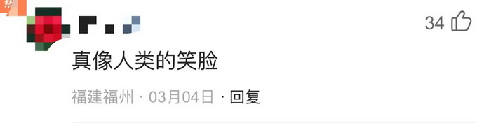 丹麦渔夫捕获赤魟宝宝！手一碰竟现神奇一幕，