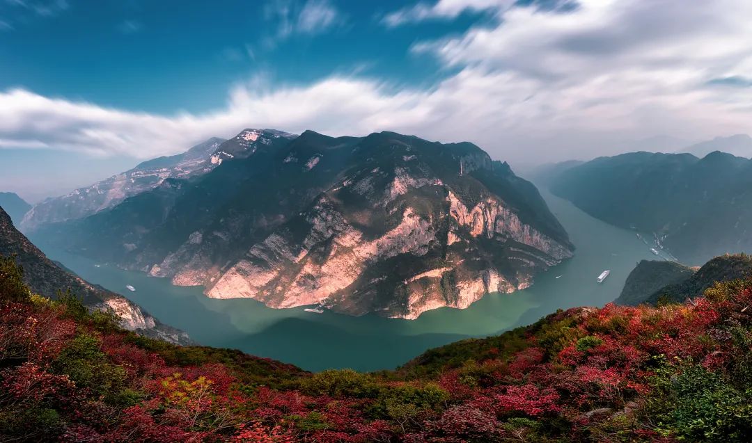 櫟椴楸桕枳檜楝柊榅桲，你都認(rèn)識(shí)嗎？