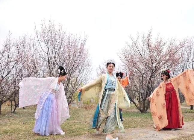 “石上花开”中华奇石城—沂蒙奇石花朝节华美绽放