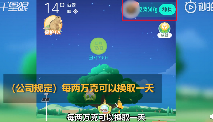 男子因支付宝“种树”换了16天年假，网友酸了：还招人吗？我去