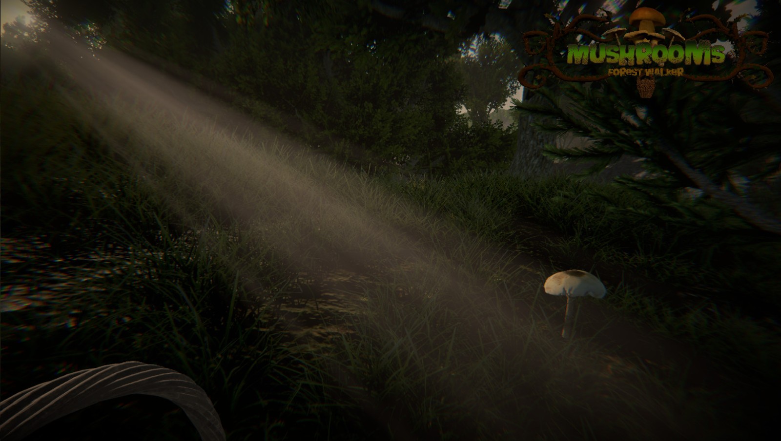 采蘑菇也能大逃杀《蘑菇：森林行者》上架Steam