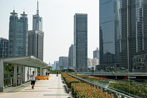 ��ý���ϣ�������ˣ��й���������Ȼ����Ԥ��