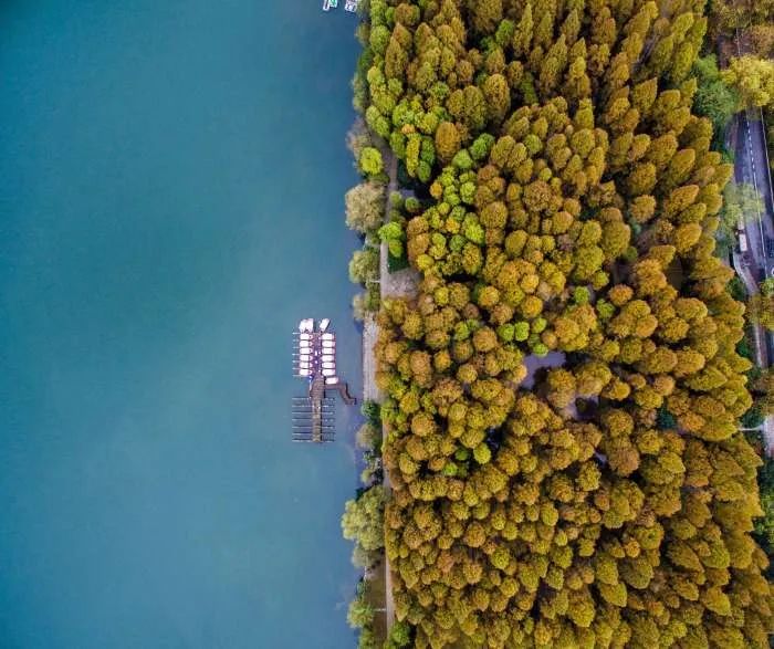 “碳交易”！逆市大涨中的“千亿野望”，会是