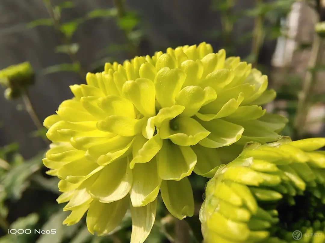 Vogue + naval vessel experiences Shuang Xinqi of electric contest IQOO Neo5