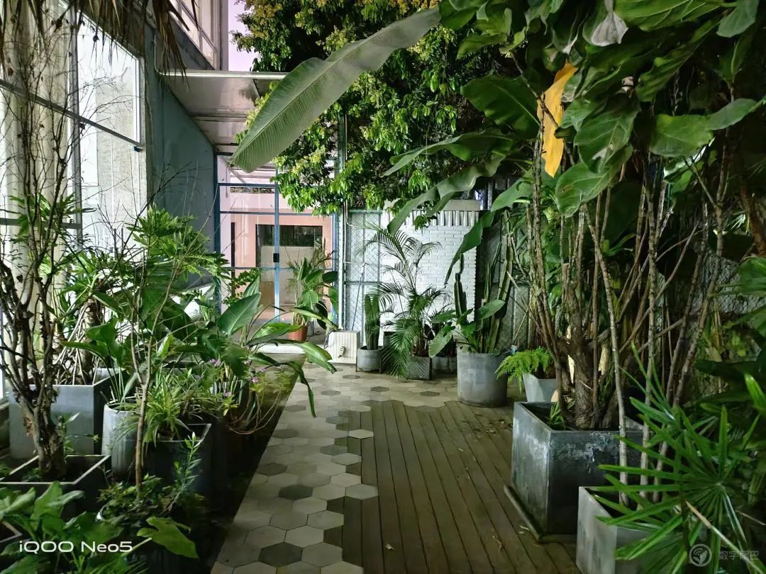 Vogue + naval vessel experiences Shuang Xinqi of electric contest IQOO Neo5