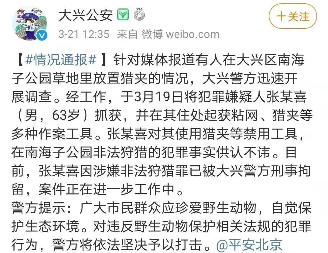 刑拘！在北京南海子公园里放置猎夹的人抓到了