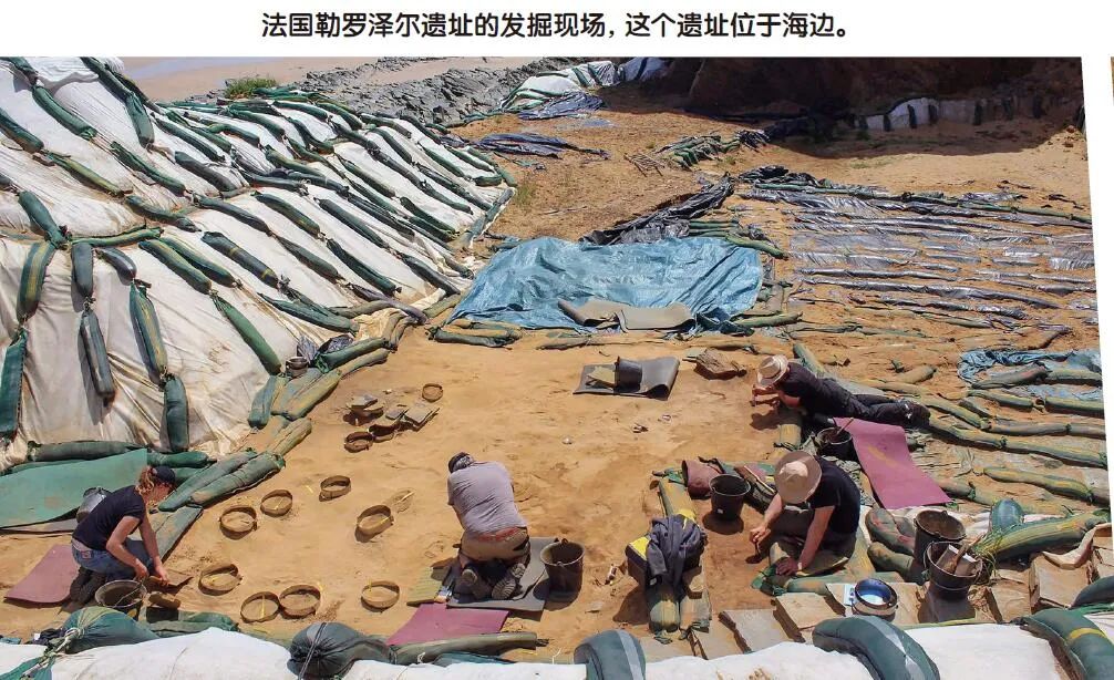 遠古人類小時候在做什麽？